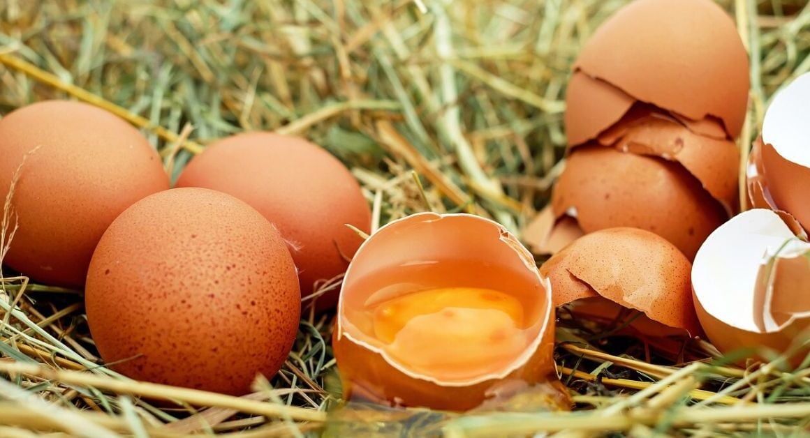  Otkrij brzo šta sve može žumance za lice!