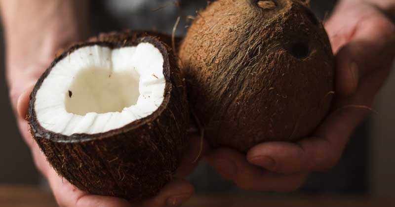 kokosovo mleko cena
