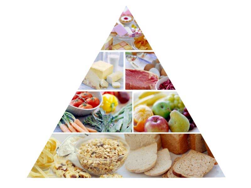 piramida ishrane za odrasle